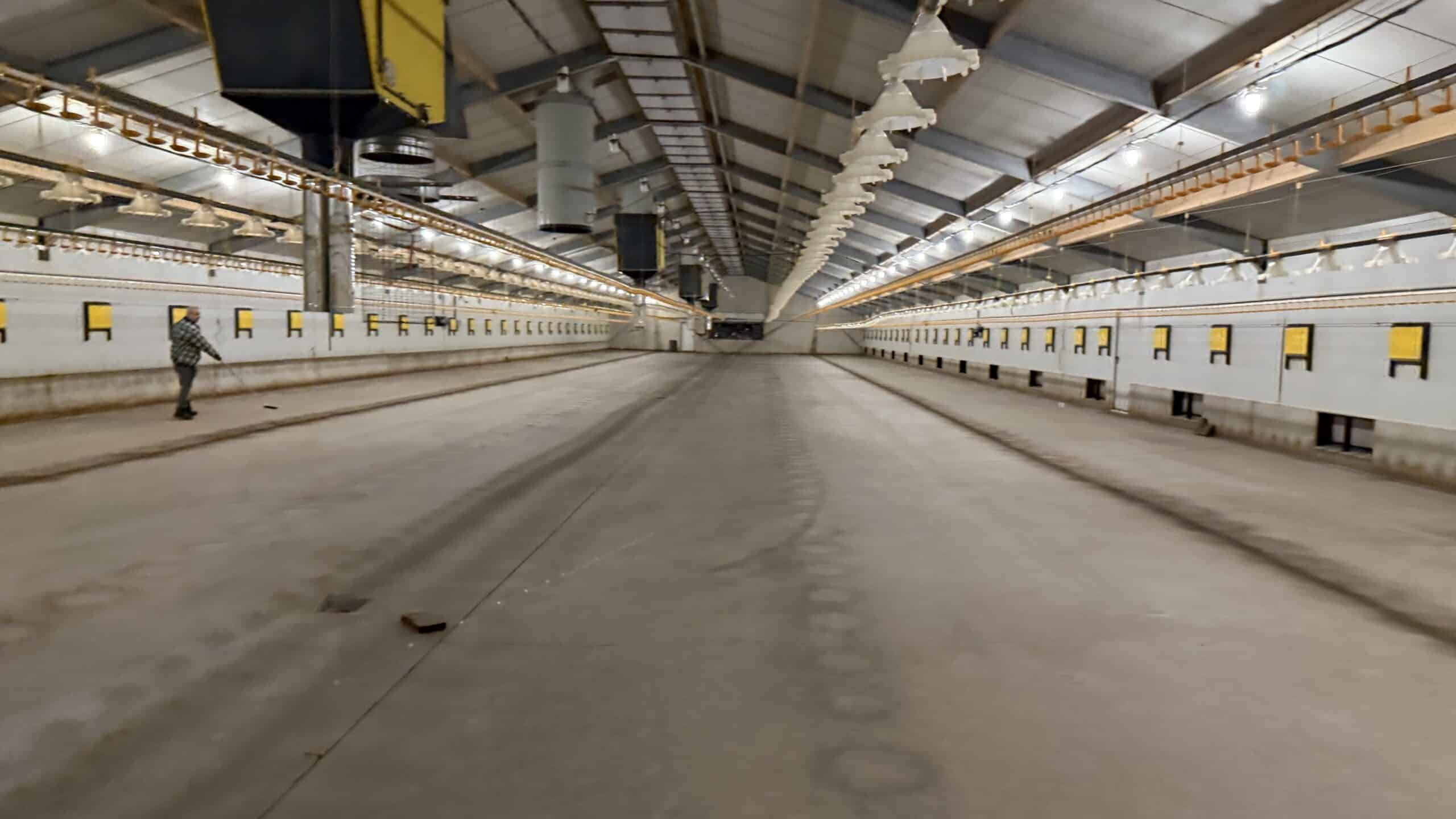 Betonvloer kippenstal herstellen – Art & Reno